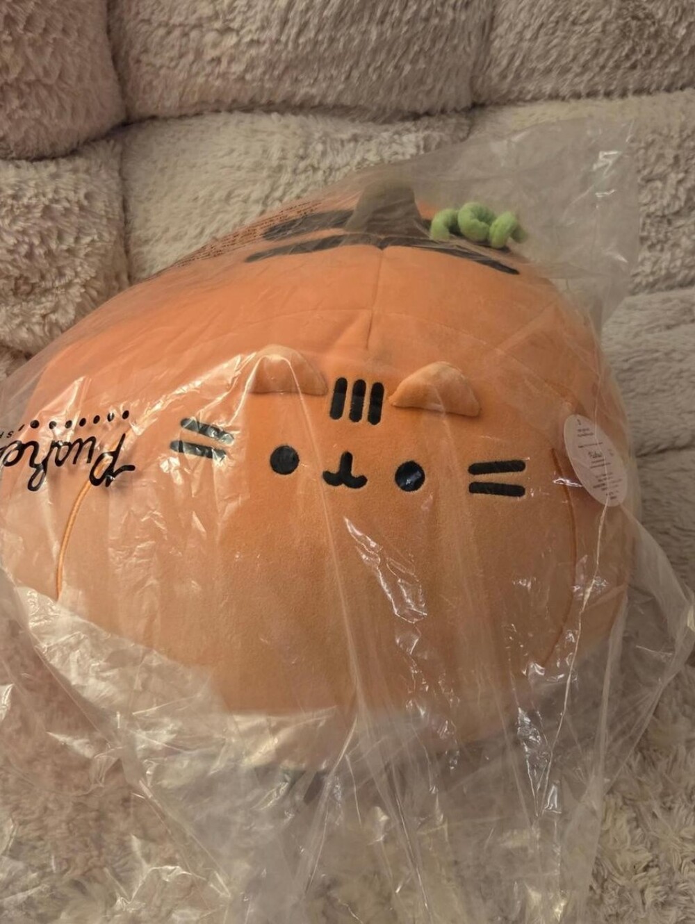 NWT Pumpkin Mochi Pusheen